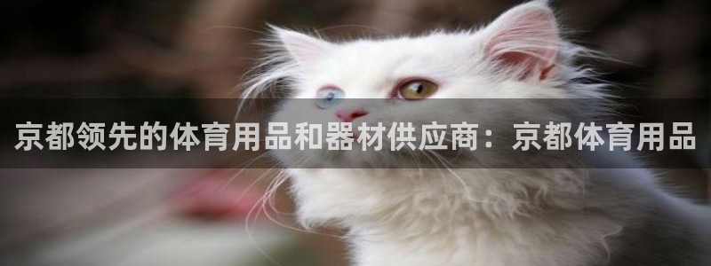 欧陆娱乐微信众:京都领先的体育用品和器材供应商:京都体育用品