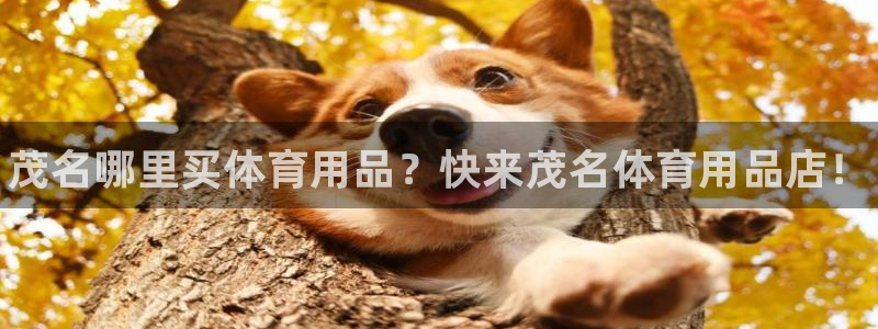 欧陆娱乐有风险吗:茂名哪里买体育用品?快来茂名体育用品店!