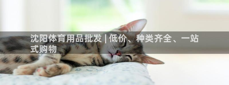 欧陆娱乐官方网站:沈阳体育用品批发 | 低价、种类齐全、一站