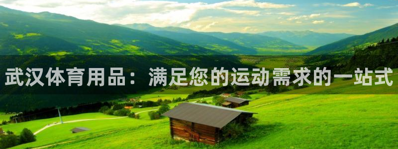 欧陆娱乐是正规平台吗安全吗知乎:武汉体育用品:满足您的运动需